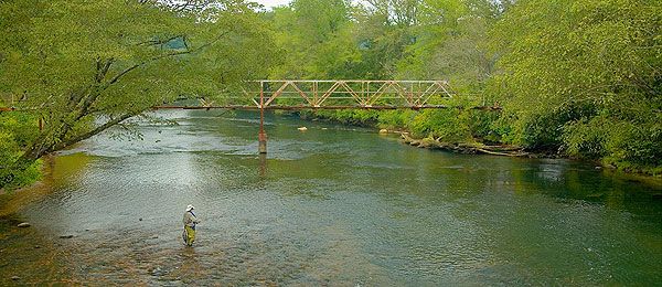 Things To Do Toccoa River